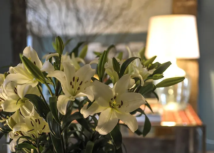 Pensión Mo House Oporto