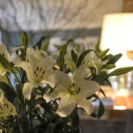 Maison d'hôtes Mo House Oporto